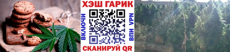 Canna-Cookies марихуана Ахтубинск