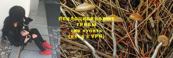 mix Новодвинск