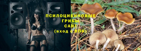 ПСИЛОЦИБИНОВЫЕ ГРИБЫ Новокубанск