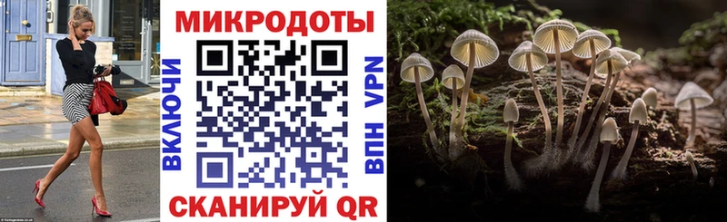 цена   Ахтубинск  Галлюциногенные грибы GOLDEN TEACHER 