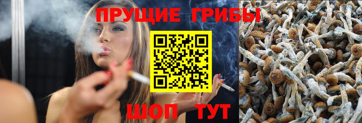 Ахтубинск  Галлюциногенные грибы ЛСД  Вход с VPN 
