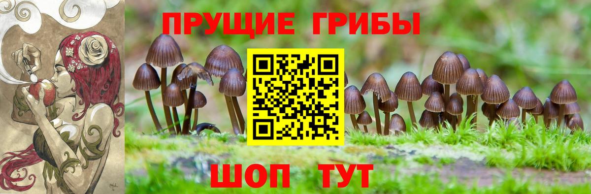 Галлюциногенные грибы MAGIC MUSHROOMS Ахтубинск