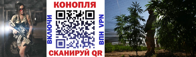 наркота  Ахтубинск  Шишки марихуана AK-47 